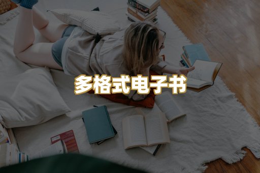 多格式电子书
